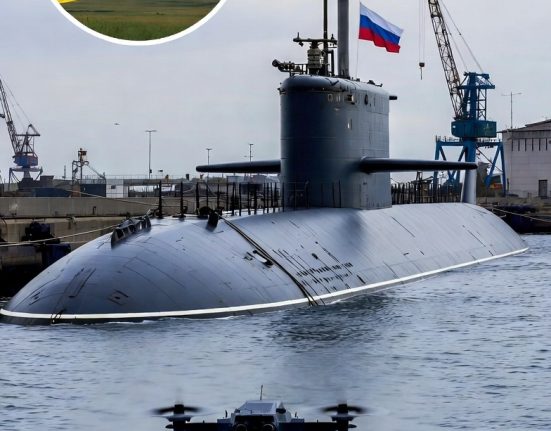 ग्रोक इमेज